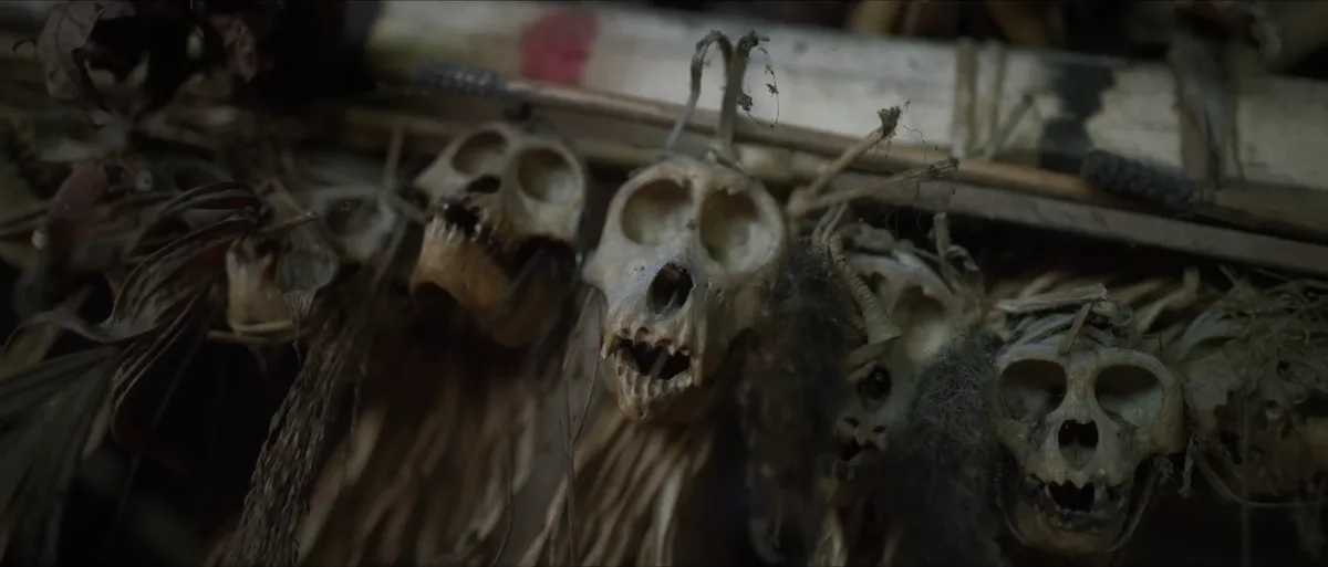 Crânes d'animaux suspendus à l'intérieur d'une uma mentawai trophées de chasse rituels traditionnels île de Siberut