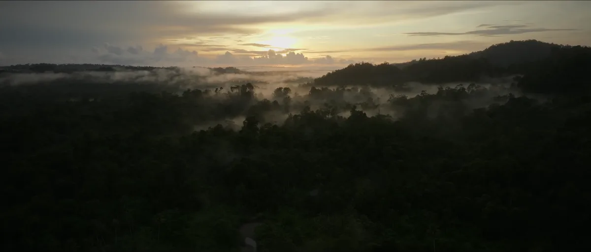 Vue aérienne de la forêt tropicale de Siberut au lever du soleil brume matinale sur la canopée île Mentawai Indonésie