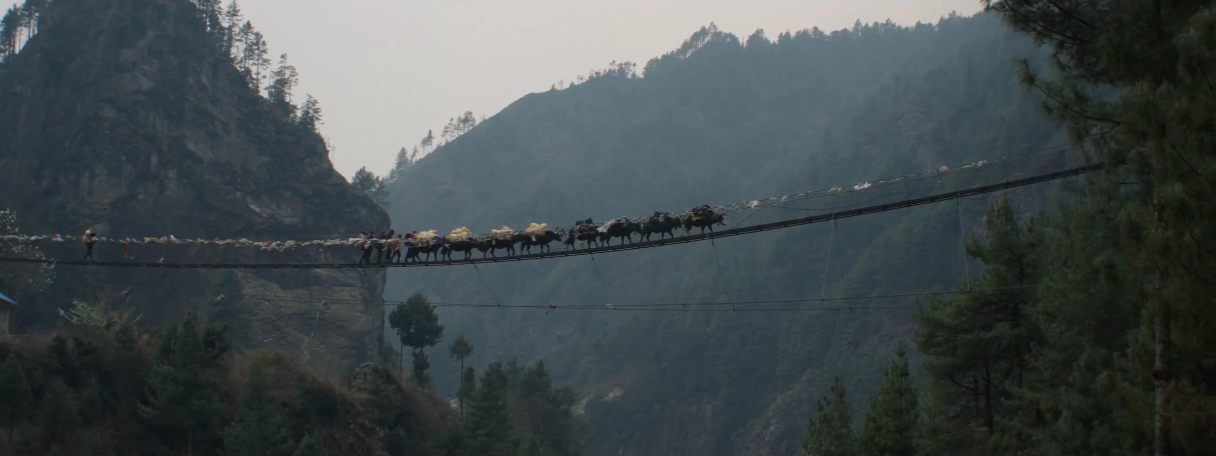 Pourquoi les Sherpas sont génétiquement supérieurs en altitude