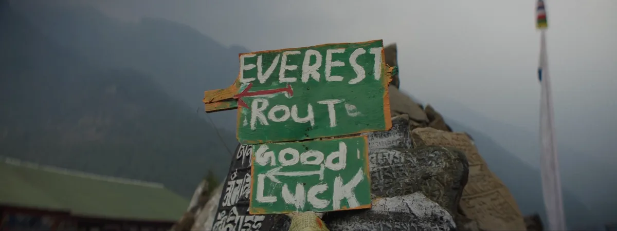 Guide sherpa marchant aux côtés de yaks chargés sur un pont suspendu de la vallée du Khumbu Népal