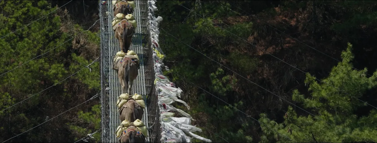 Panorama des sommets himalayens au lever du soleil vu depuis les hauteurs de la vallée du Khumbu